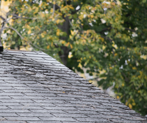 High Winds: How They Can Damage Your Roof and How To Detect It - Image 1