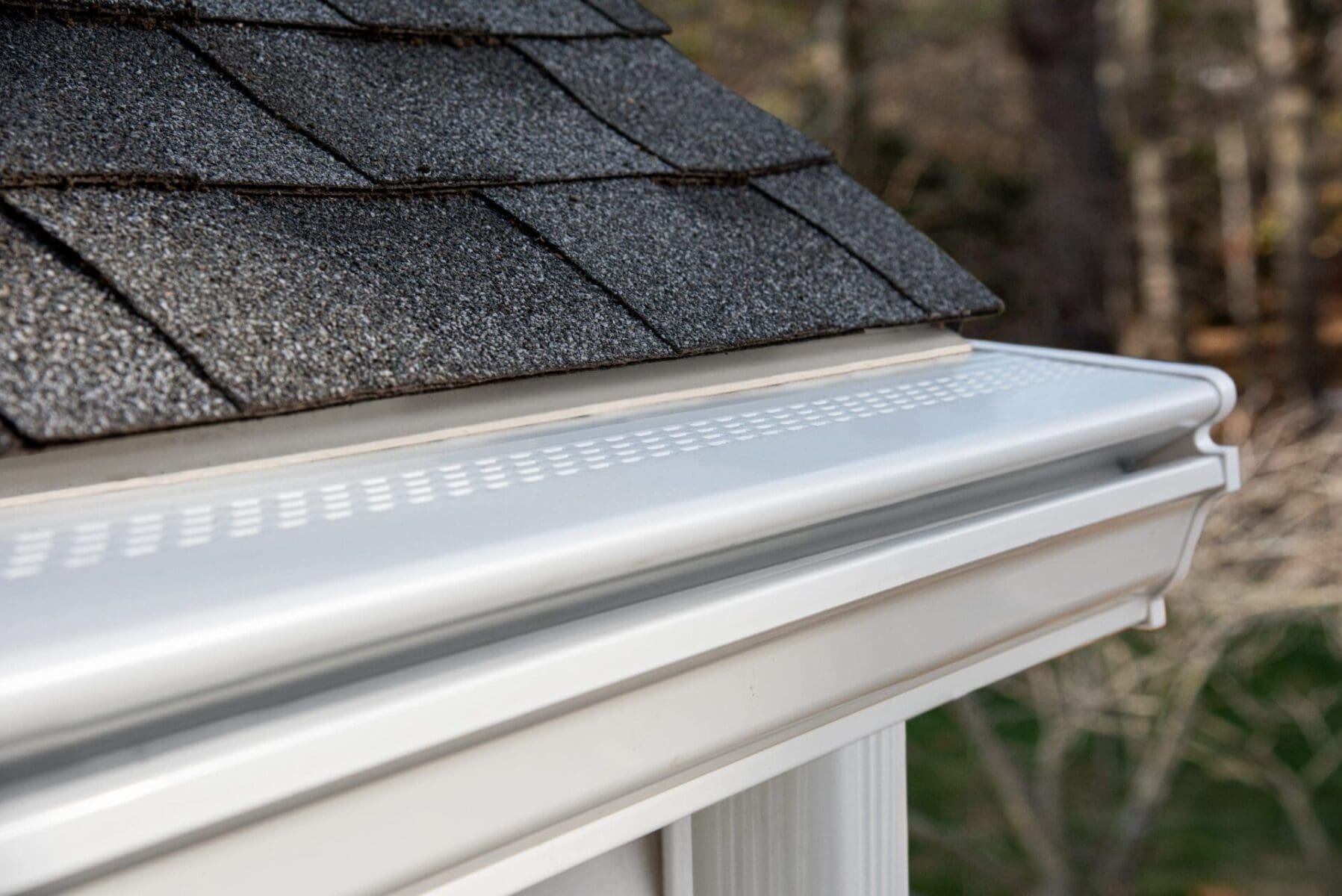 Read more about the article Do GutterShutter Gutters Work With Pine Needles?