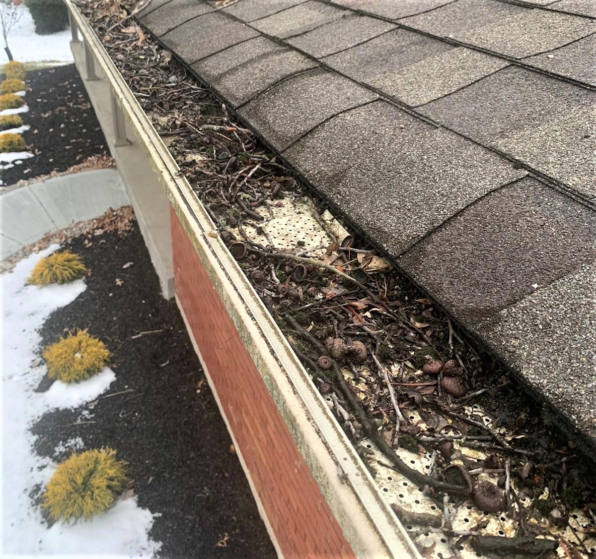 Read more about the article 4 Signs You Need New Gutters