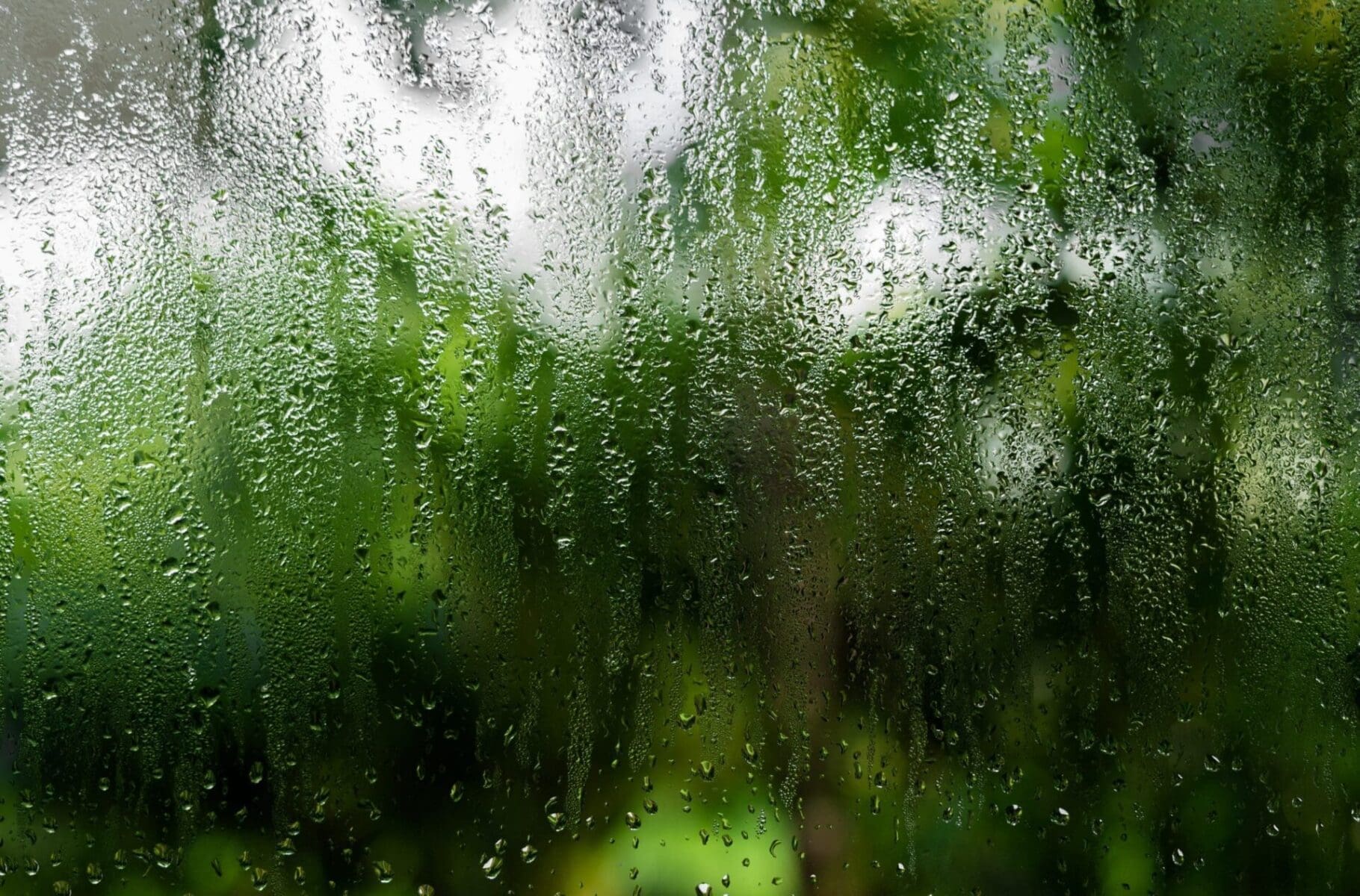 Read more about the article Window Condensation: Why it’s Happening and How To Fix it