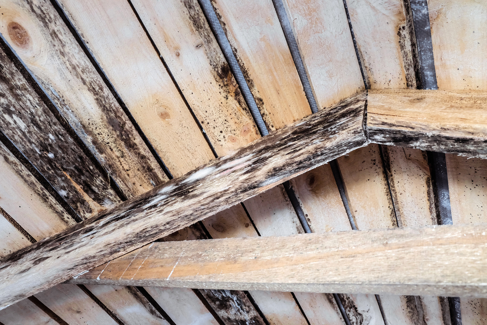 roof restoration and attic condensation